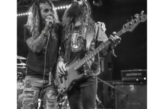JohnCorabiBand-NJ-IMG_6948