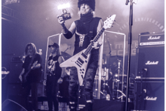 MichaelSchenkerIMG_3653