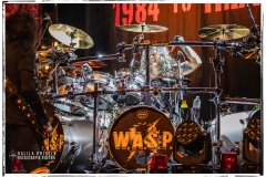 WASP-0N8A1802