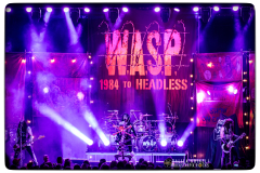 WASP-0N8A1874