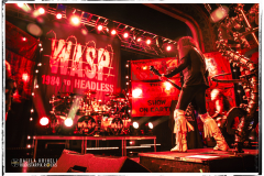 WASP-IMG_8928