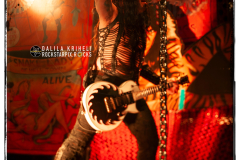 WASP-IMG_8938