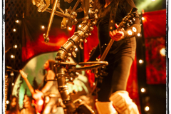 WASP-IMG_8948
