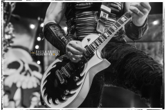 WASP-IMG_8975